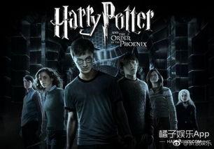 波特最新爆料新闻视频