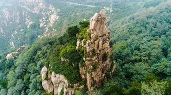 森林泰山在线观看,在线探险之旅，共赴奇幻森林之旅  第2张